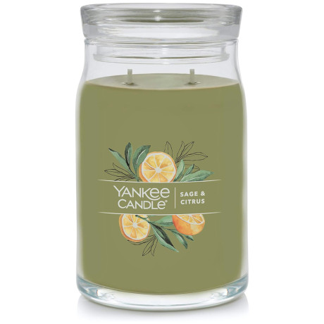 YANKEE S SAGE CITRUS LARGE JAR 1629961E