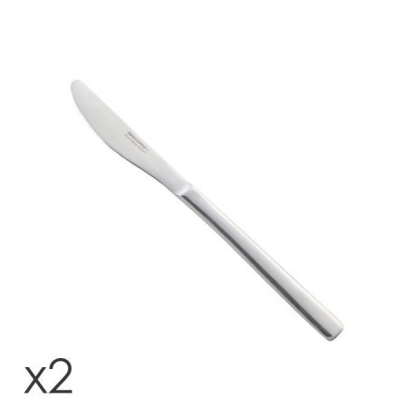 TESCOMA 391020  COLTELLO 2PZ'BANQUET'