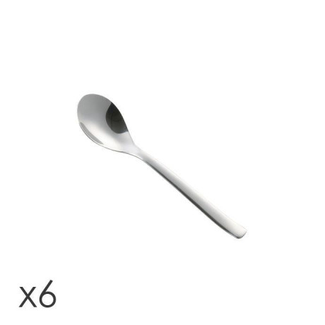 TESCOMA 391032  CUCCHIAINO 6PZ 'BANQUET'