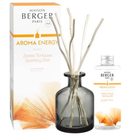LAMPE BERGER 7717  BQT AROMA ENERGY NEW 24