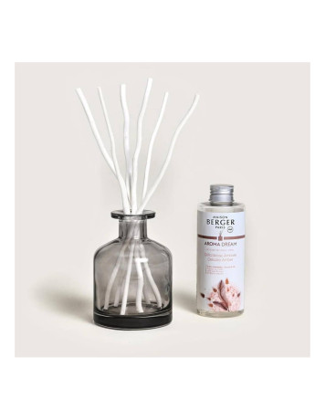 LAMPE BERGER 7719  BQT AROMA DREAM NEW 24