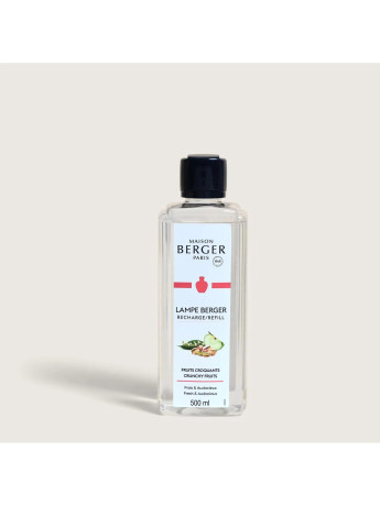 LAMPE B.115375 FRUITS CROQUANTS PROF.500ML