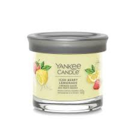 YANKEE S ICED BERRY LEM SMALL TUMBLER 1744734E