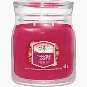 YANKEE S SANTA ON SKIS MEDIUM JAR 2653150E