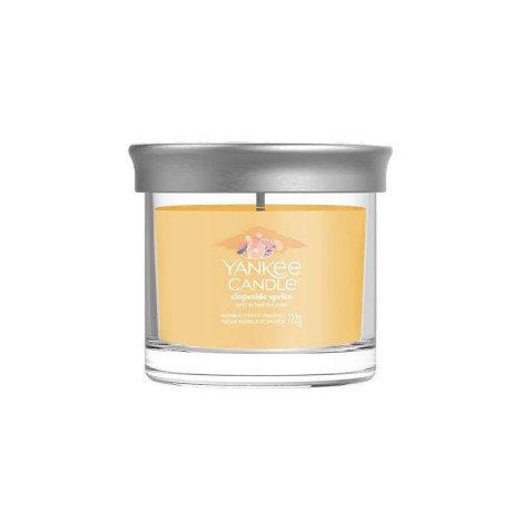 YANKEE S SLOPESIDE SPRITZ SMALL TUMBLER 2652649E