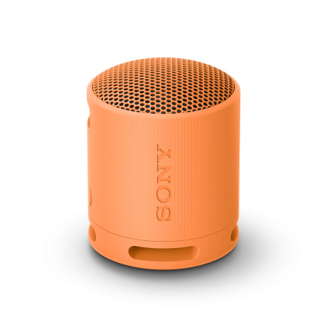 SONY SRSXB100D.CE7  DIFFUSORE PORTATILE BT IP67 ARANCION