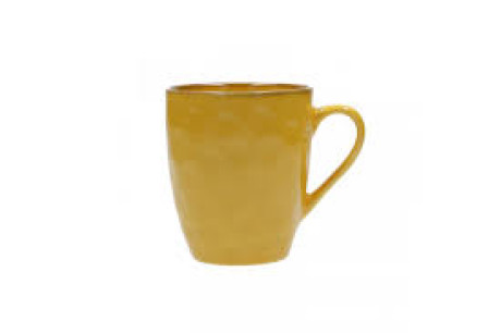 ROSE&TULIPANI CONCERTO MUG OCRA 430CC R134300149