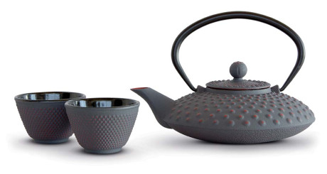 WD TEIERA GHISA C/FILTRO GRIGIO+4BICC.800ML WD430