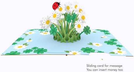 ORIGAMO KP072  BIG.GOOD LUCK