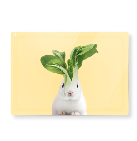 WD TAGLIERE VTR 20X30 BIETOLA WD814BIE