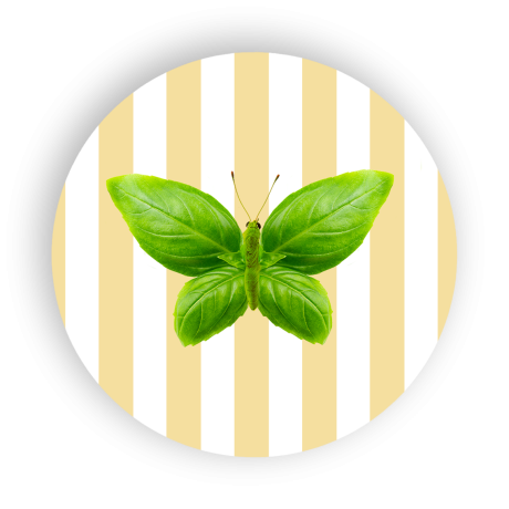 WD SOTTOPENTOLA  FARFALLA CM.18 WD755FAR