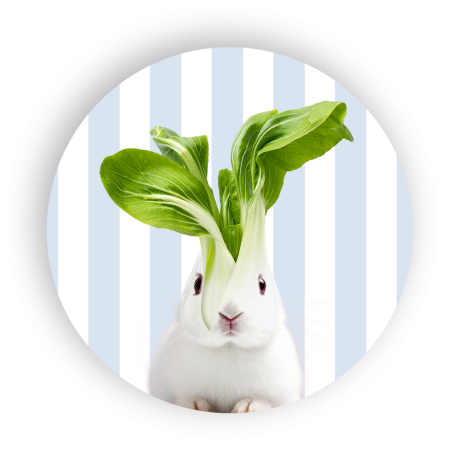 WD SOTTOPENTOLA  CONIGLIO CM.18 WD755CON