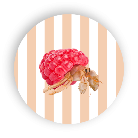 WD SOTTOPENTOLA  PAGURO CM.18 WD755PAG