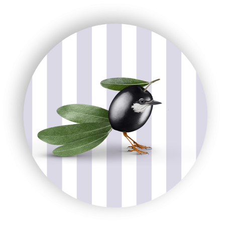 WD SOTTOPENTOLA  OLIVA CM.18 WD755OLI