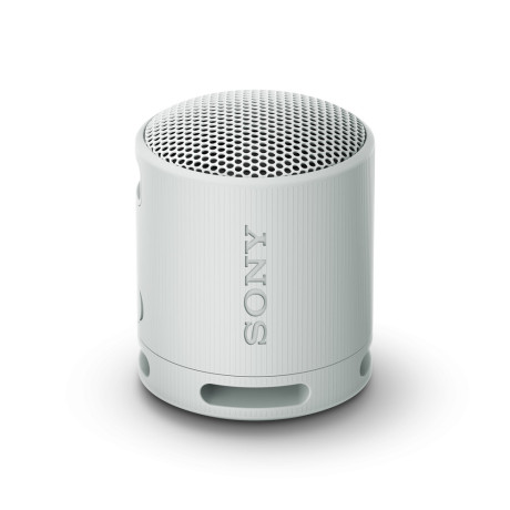 SONY SRSXB100H.CE7  DIFFUSORE PORTATILE BT IP67 GRIGIO