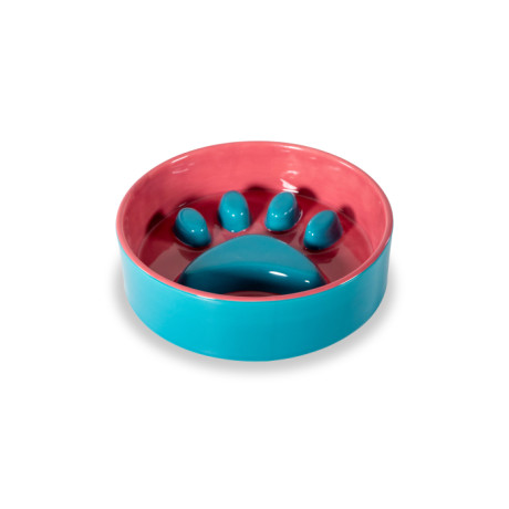 WD  CIOTOLA ZAMPA AZZURRO ROSA D.16 WD859RO