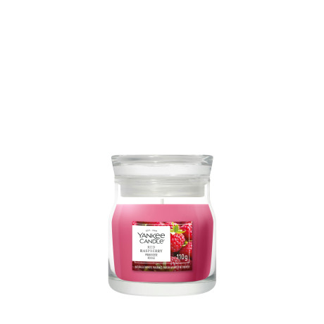YK RED RASPBERRY G.PICCOLA2244643