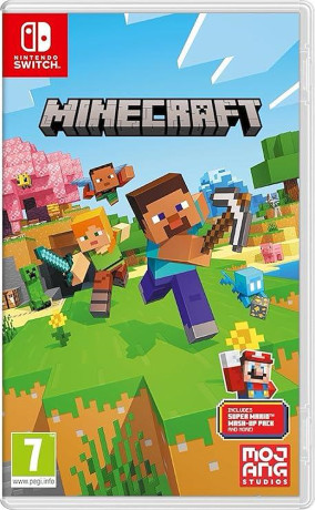 SW SWITCH MINECRAFT