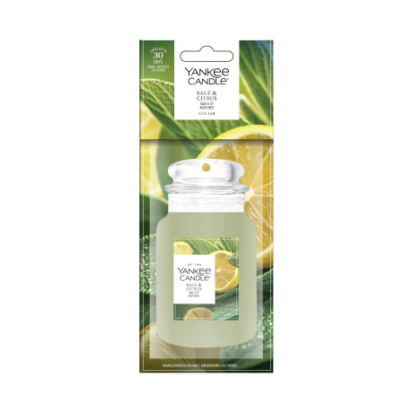 YK CARTINA SINGOLA SAGE/CITRUS 2674142E