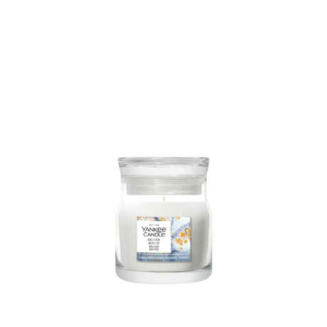YK SILVER BIRCH  G.PICCOLA2244654