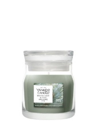 YK SILVER/SAGE PINE G.PICCOLA  2244637
