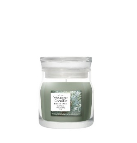 YK SNOW KISSED PINE G.PICCOLA  2244637