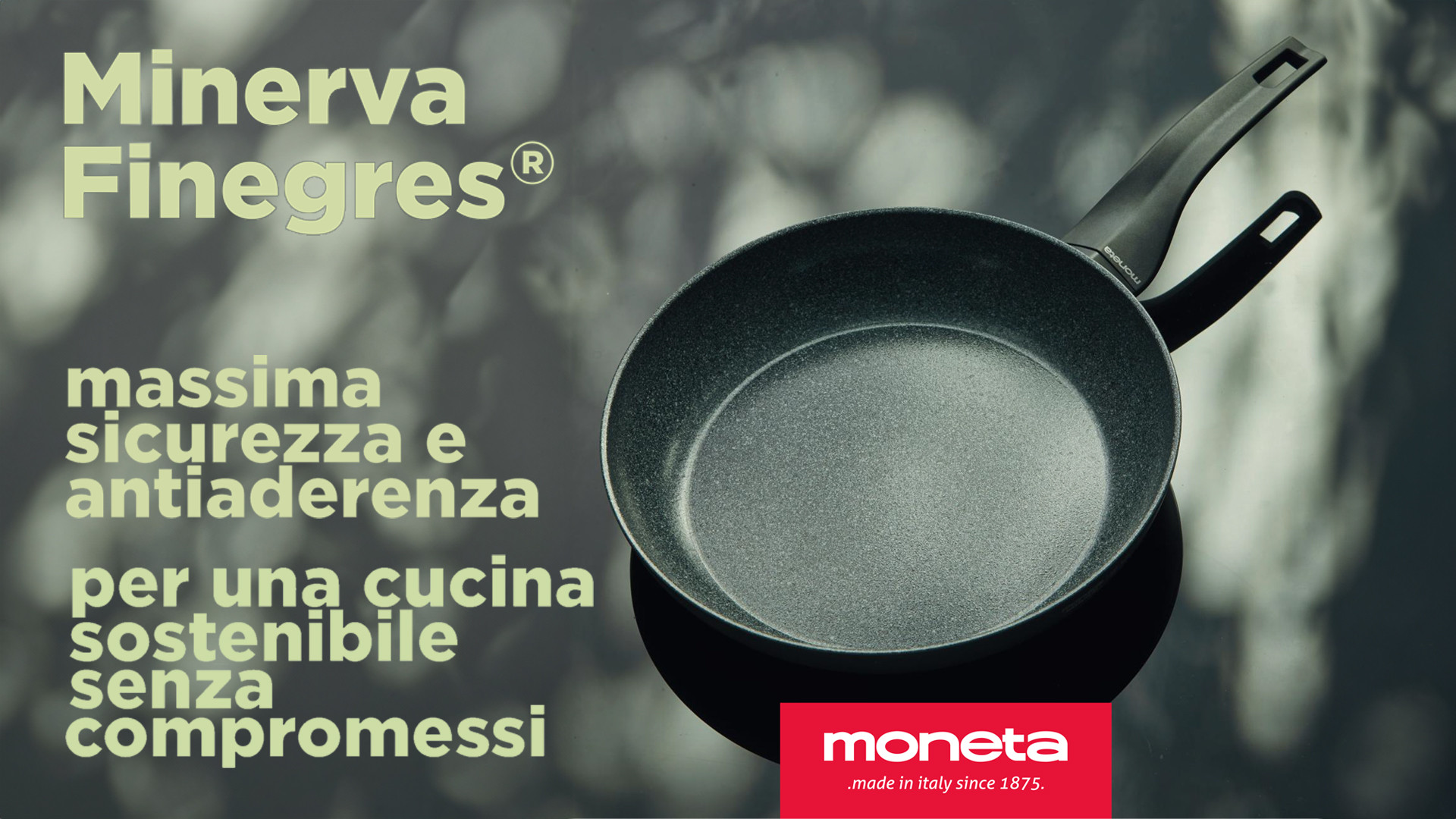 Novità Moneta Minerva Finegress 2025 SLIDER.jpg